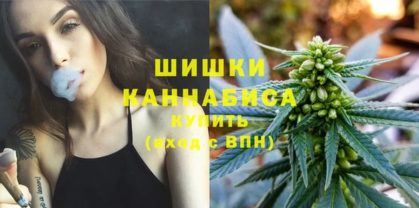 ГАЛЛЮЦИНОГЕННЫЕ ГРИБЫ Лабытнанги